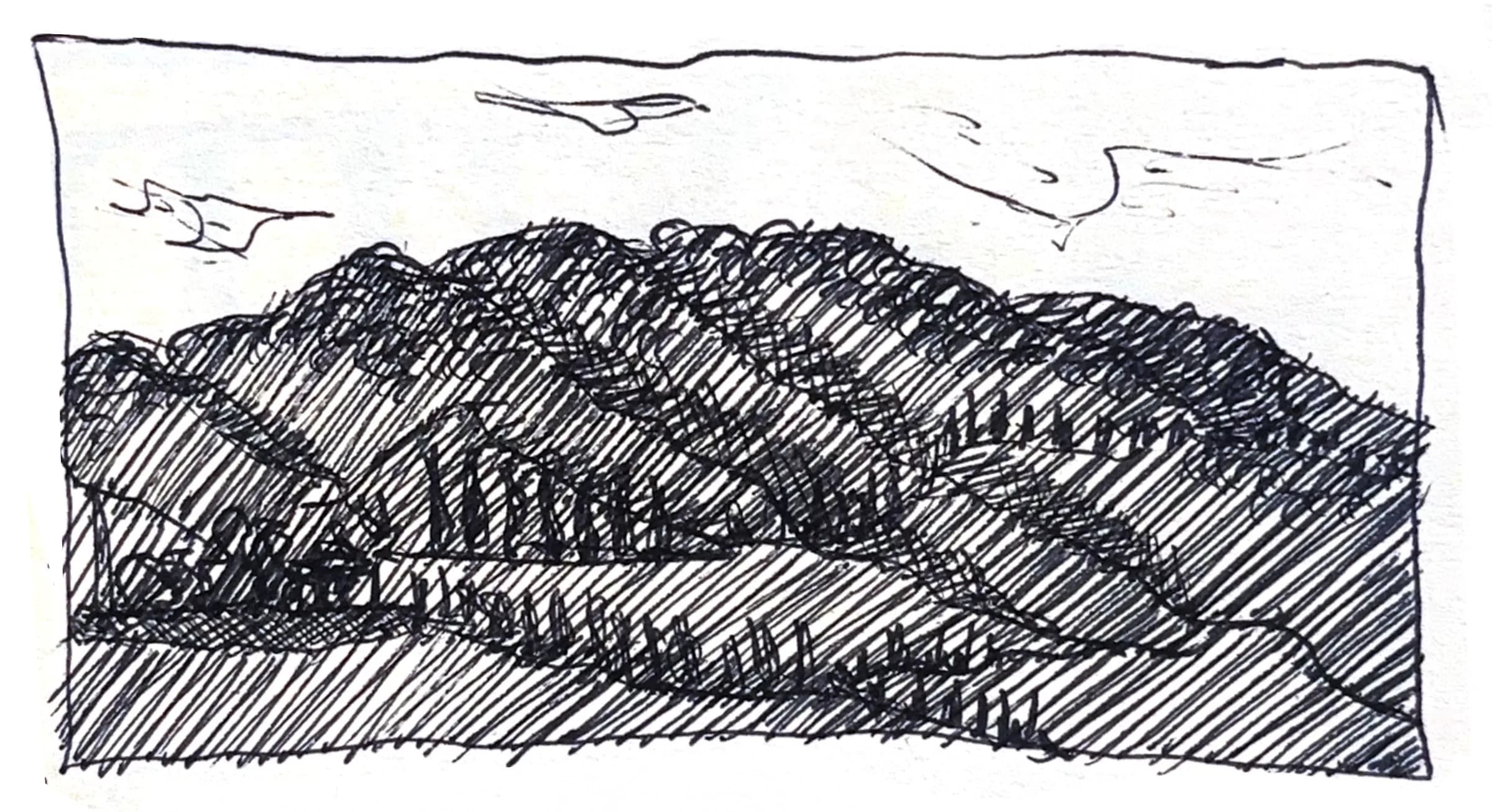 Miscellaneous Works 12